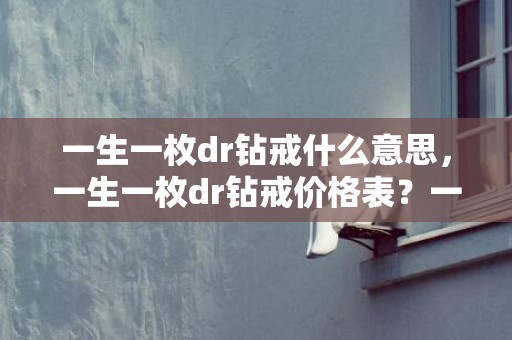 一生一枚dr钻戒什么意思，一生一枚dr钻戒价格表？一生一枚dr戒指价格