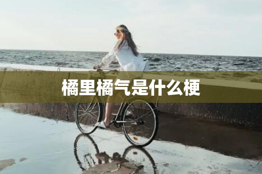 橘里橘气是什么梗