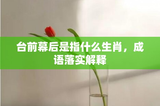 台前幕后是指什么生肖，成语落实解释