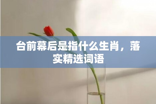 台前幕后是指什么生肖，落实精选词语