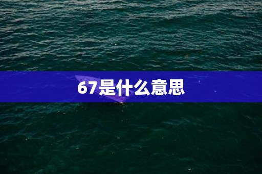 67是什么意思