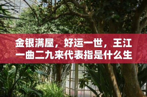 金银满屋，好运一世，王江一曲二九来代表指是什么生肖，精选作答落实