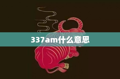 337am什么意思