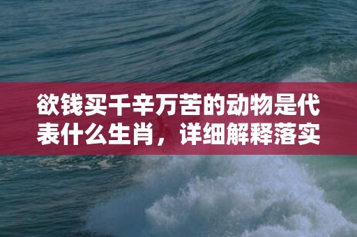 欲钱买千辛万苦的动物是代表什么生肖，详细解释落实