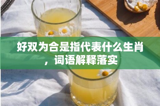 好双为合是指代表什么生肖，词语解释落实