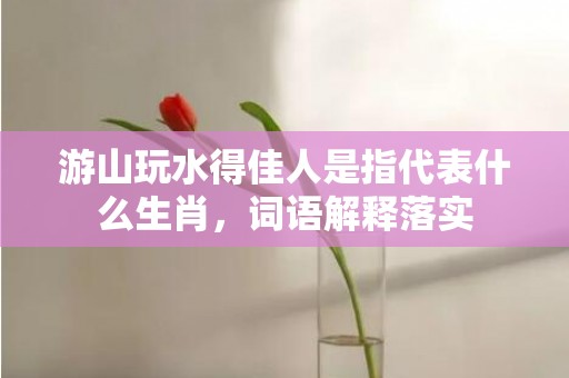 游山玩水得佳人是指代表什么生肖，词语解释落实