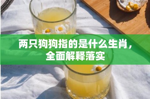 两只狗狗指的是什么生肖，全面解释落实