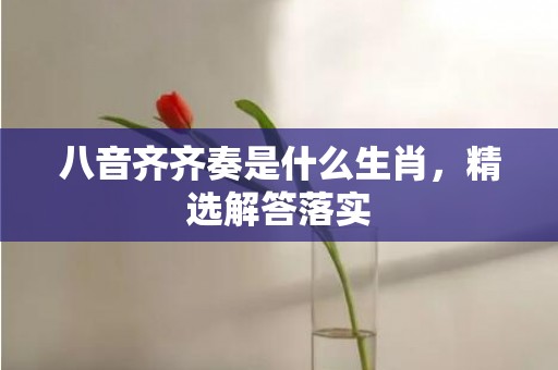 八音齐齐奏是什么生肖，精选解答落实