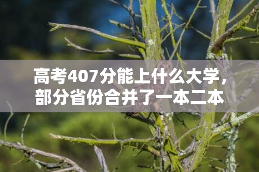 高考407分能上什么大学，部分省份合并了一本二本