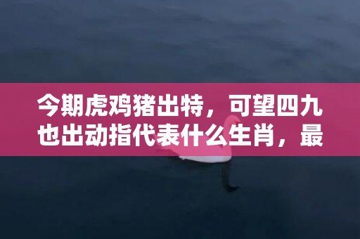 今期虎鸡猪出特，可望四九也出动指代表什么生肖，最新解释落实