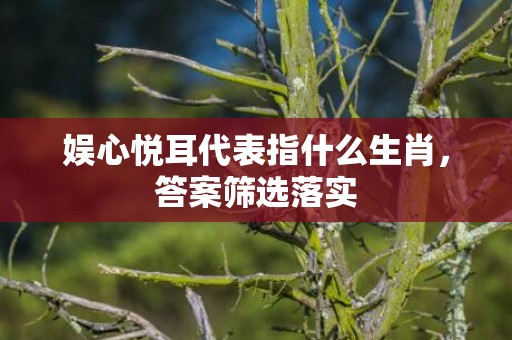 娱心悦耳代表指什么生肖，答案筛选落实