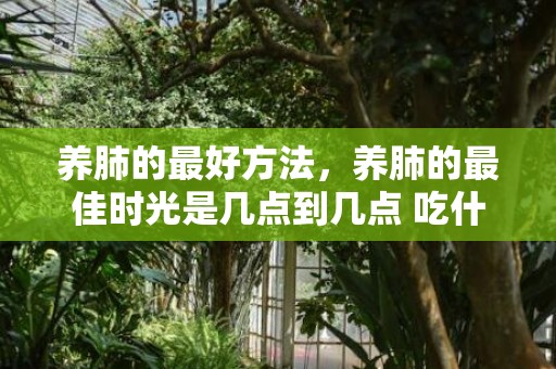 养肺的最好方法，养肺的最佳时光是几点到几点 吃什么润肺养肺 养肺的留意事项