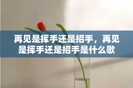 再见是挥手还是招手，再见是挥手还是招手是什么歌