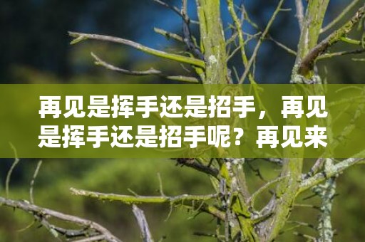 再见是挥手还是招手，再见是挥手还是招手呢？再见来不及挥手是什么意思