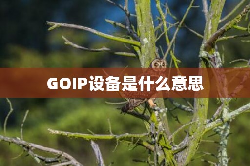 GOIP设备是什么意思