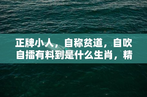 正牌小人，自称贫道，自吹自擂有料到是什么生肖，精选解释落实