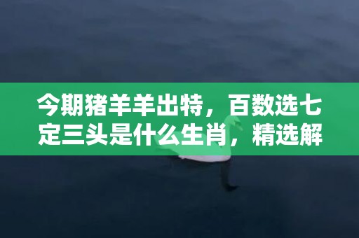 今期猪羊羊出特，百数选七定三头是什么生肖，精选解释落实