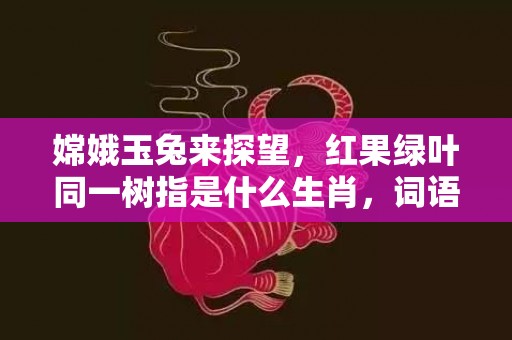 嫦娥玉兔来探望，红果绿叶同一树指是什么生肖，词语释义落实