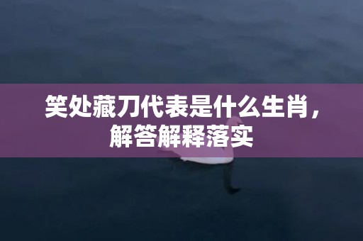 笑处藏刀代表是什么生肖，解答解释落实