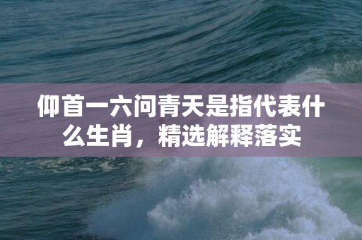 仰首一六问青天是指代表什么生肖，精选解释落实