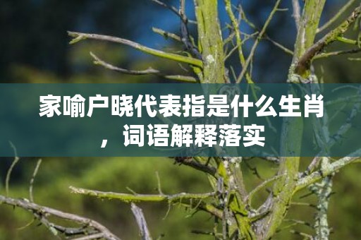 家喻户晓代表指是什么生肖，词语解释落实