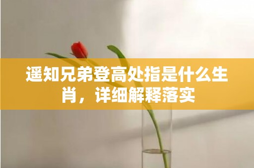 遥知兄弟登高处指是什么生肖，详细解释落实