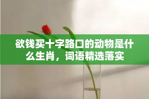 欲钱买十字路口的动物是什么生肖，词语精选落实