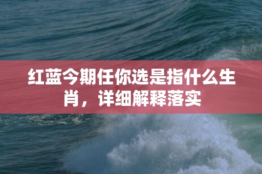 红蓝今期任你选是指什么生肖，详细解释落实