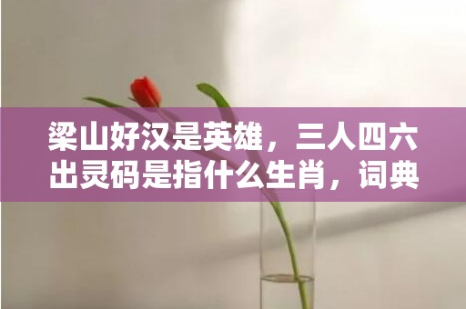 梁山好汉是英雄，三人四六出灵码是指什么生肖，词典解释