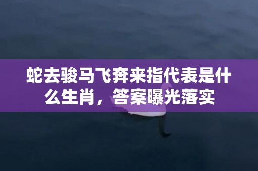 蛇去骏马飞奔来指代表是什么生肖，答案曝光落实