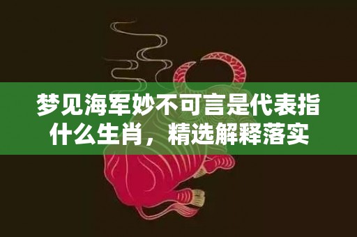 梦见海军妙不可言是代表指什么生肖，精选解释落实