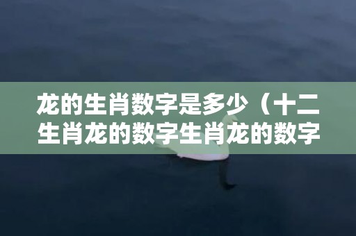 龙的生肖数字是多少（十二生肖龙的数字生肖龙的数字是哪些）