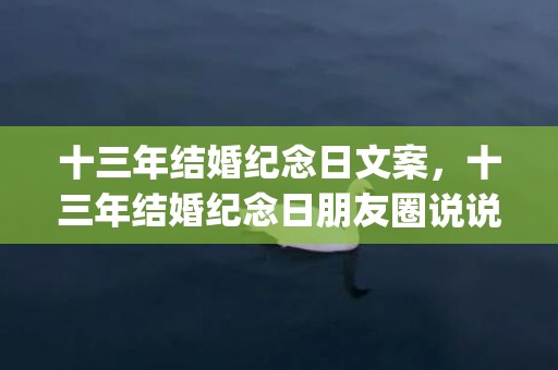 十三年结婚纪念日文案，十三年结婚纪念日朋友圈说说(结婚纪念日高情商句子)