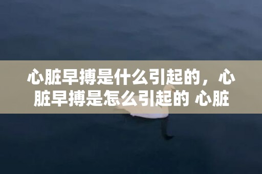 心脏早搏是什么引起的，心脏早搏是怎么引起的 心脏早搏的迫害年夜不年夜