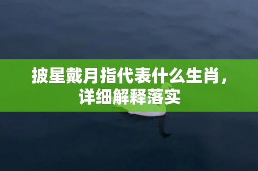 披星戴月指代表什么生肖，详细解释落实