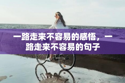 一路走来不容易的感悟，一路走来不容易的句子