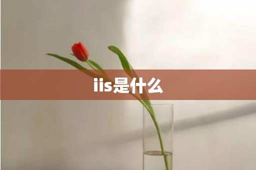 iis是什么