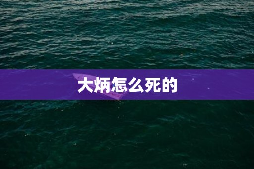 大炳怎么死的