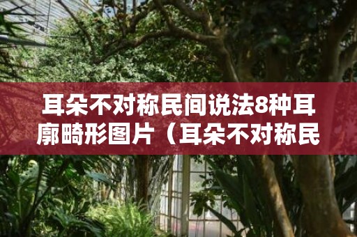 耳朵不对称民间说法8种耳廓畸形图片（耳朵不对称民间说法8种耳廓畸形图片）