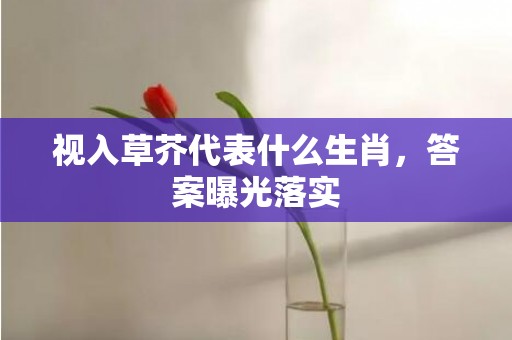 视入草芥代表什么生肖，答案曝光落实