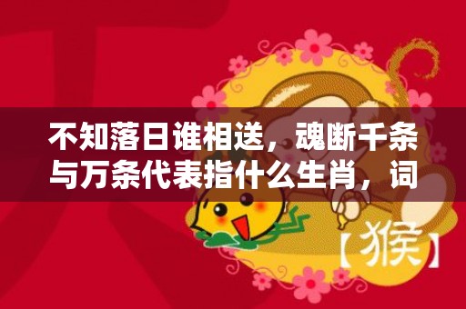 不知落日谁相送，魂断千条与万条代表指什么生肖，词语精选落实