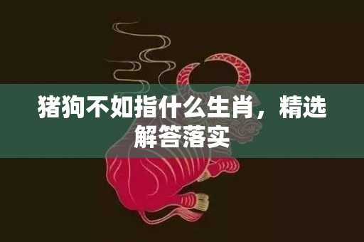 猪狗不如指什么生肖，精选解答落实