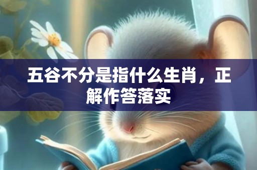 五谷不分是指什么生肖，正解作答落实