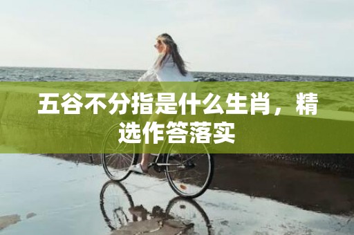 五谷不分指是什么生肖，精选作答落实