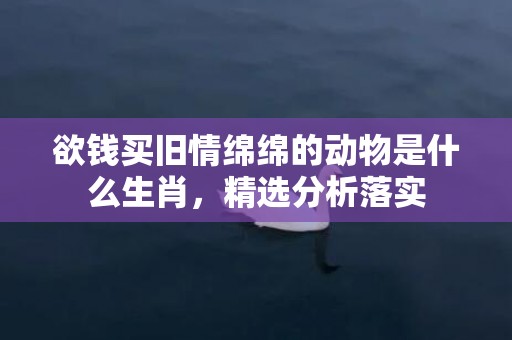 欲钱买旧情绵绵的动物是什么生肖，精选分析落实