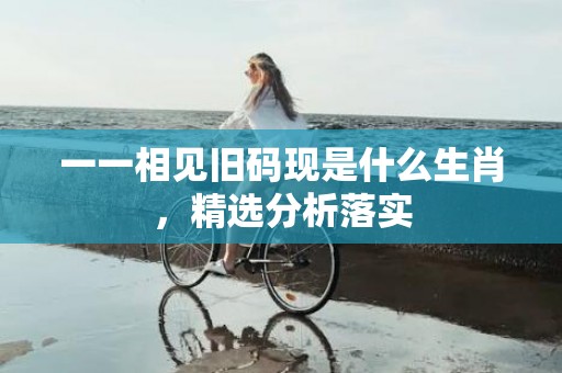 一一相见旧码现是什么生肖，精选分析落实