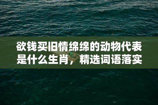 欲钱买旧情绵绵的动物代表是什么生肖，精选词语落实