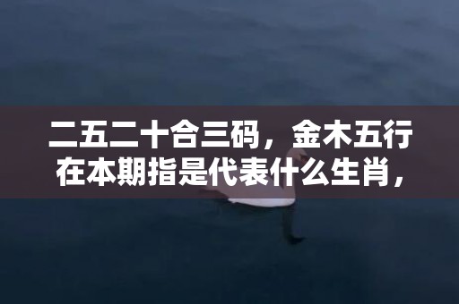 二五二十合三码，金木五行在本期指是代表什么生肖，精选解答落实