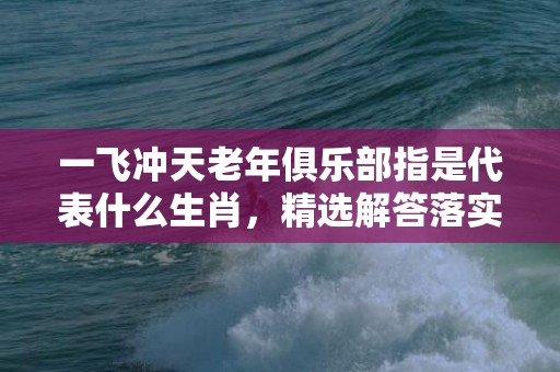 一飞冲天老年俱乐部指是代表什么生肖，精选解答落实