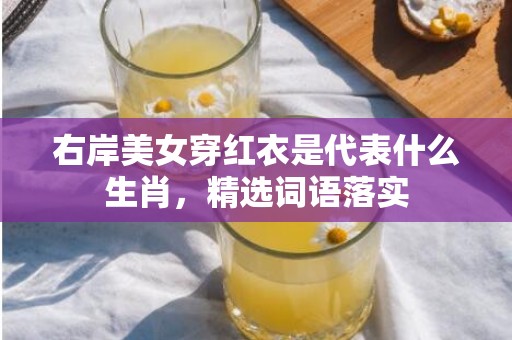 右岸美女穿红衣是代表什么生肖，精选词语落实